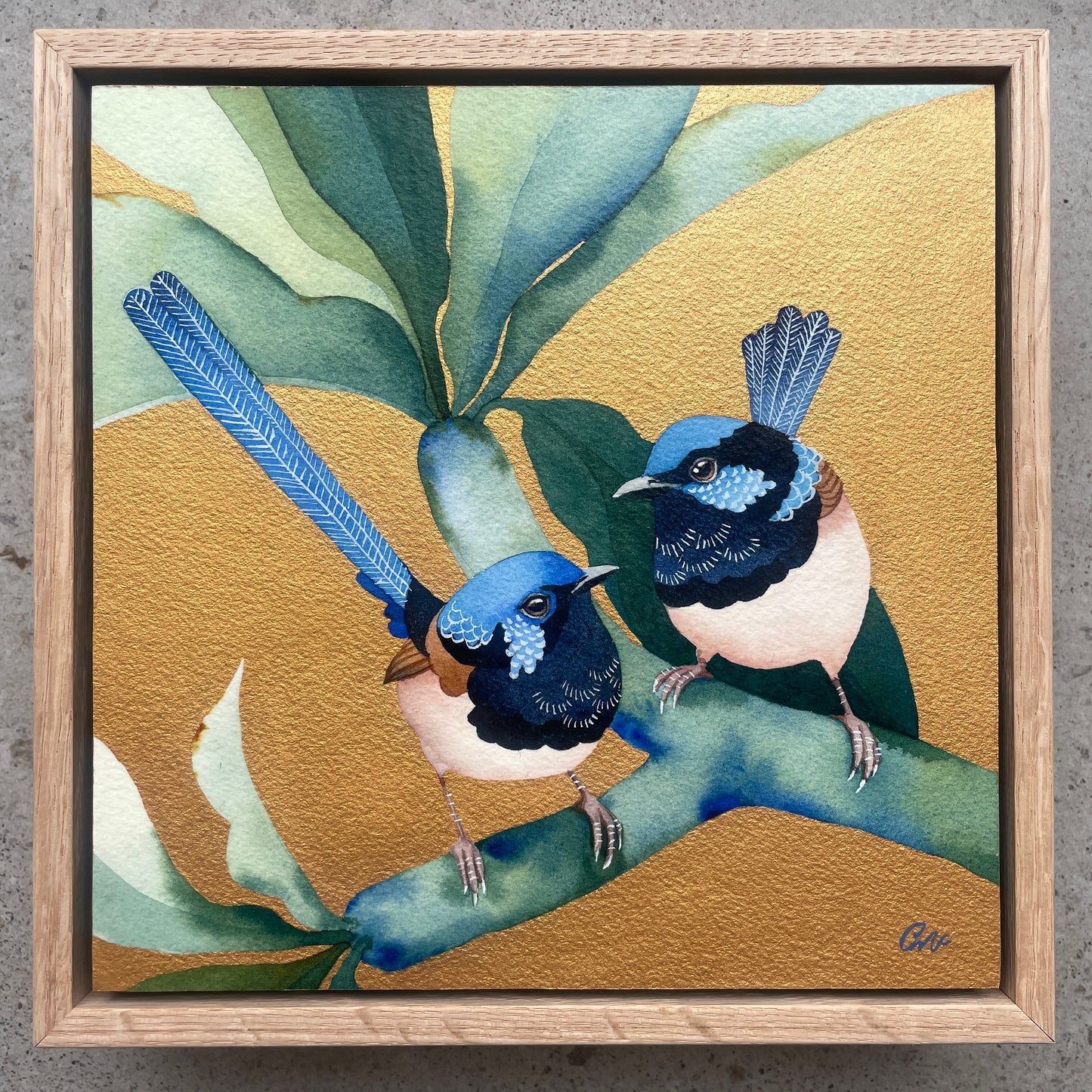 These Superb Fairies No1, 23x23cm, Framed