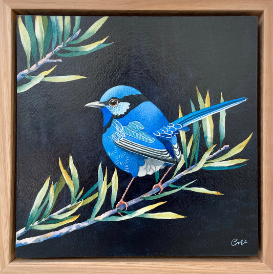 This Splendid Fairy No.1, 23x23cm, Framed