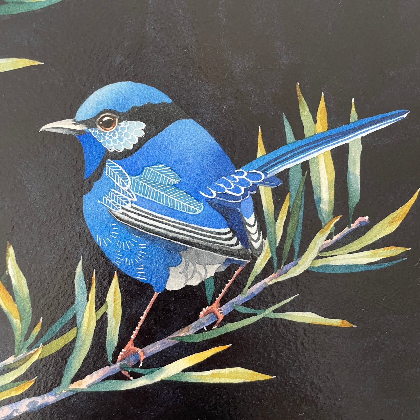 This Splendid Fairy No.1, 23x23cm, Framed