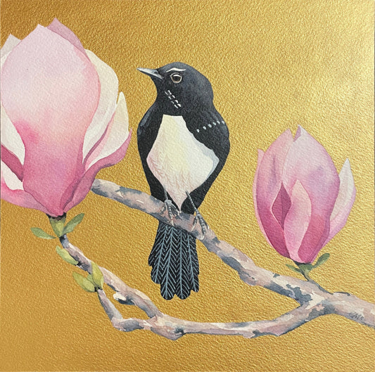 The Willie Wagtail & The Magnolia, 20x20cm