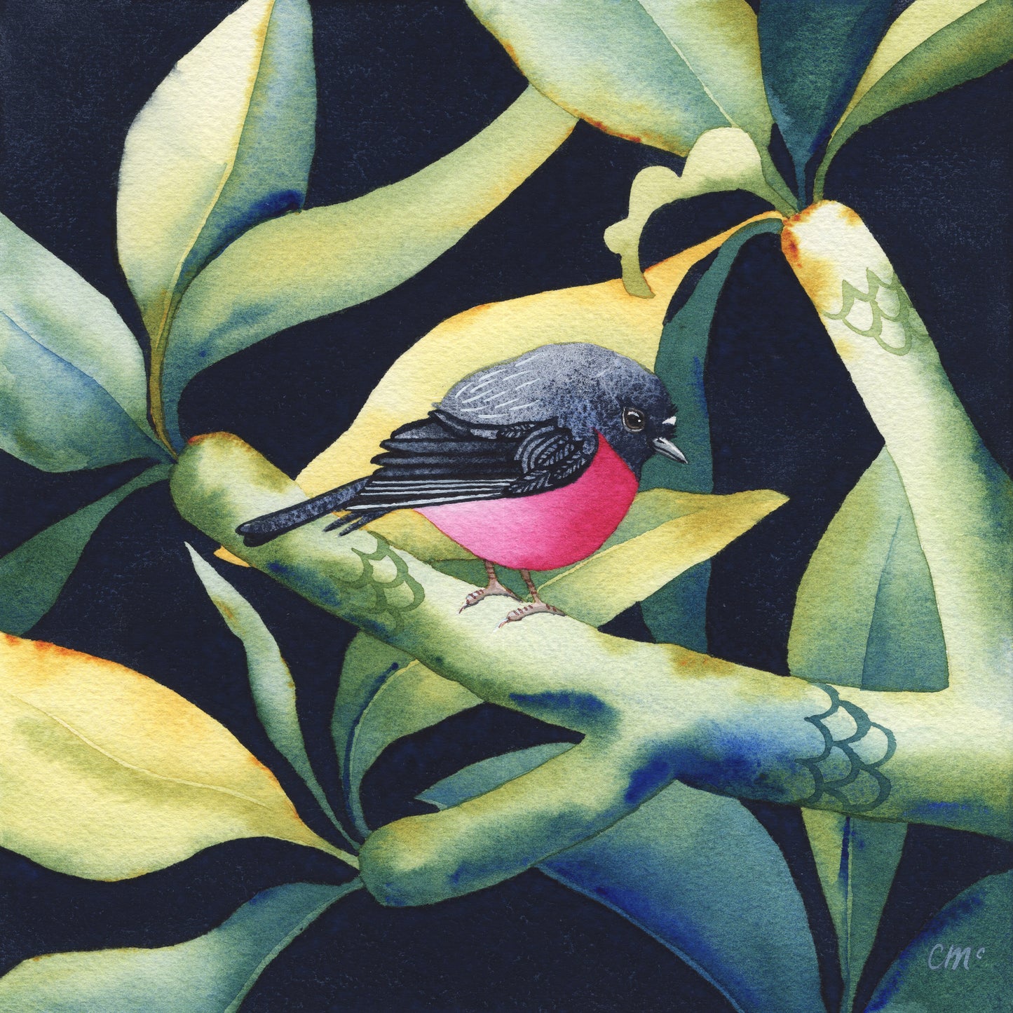 Golden light with Pink Robin, 30x30cm