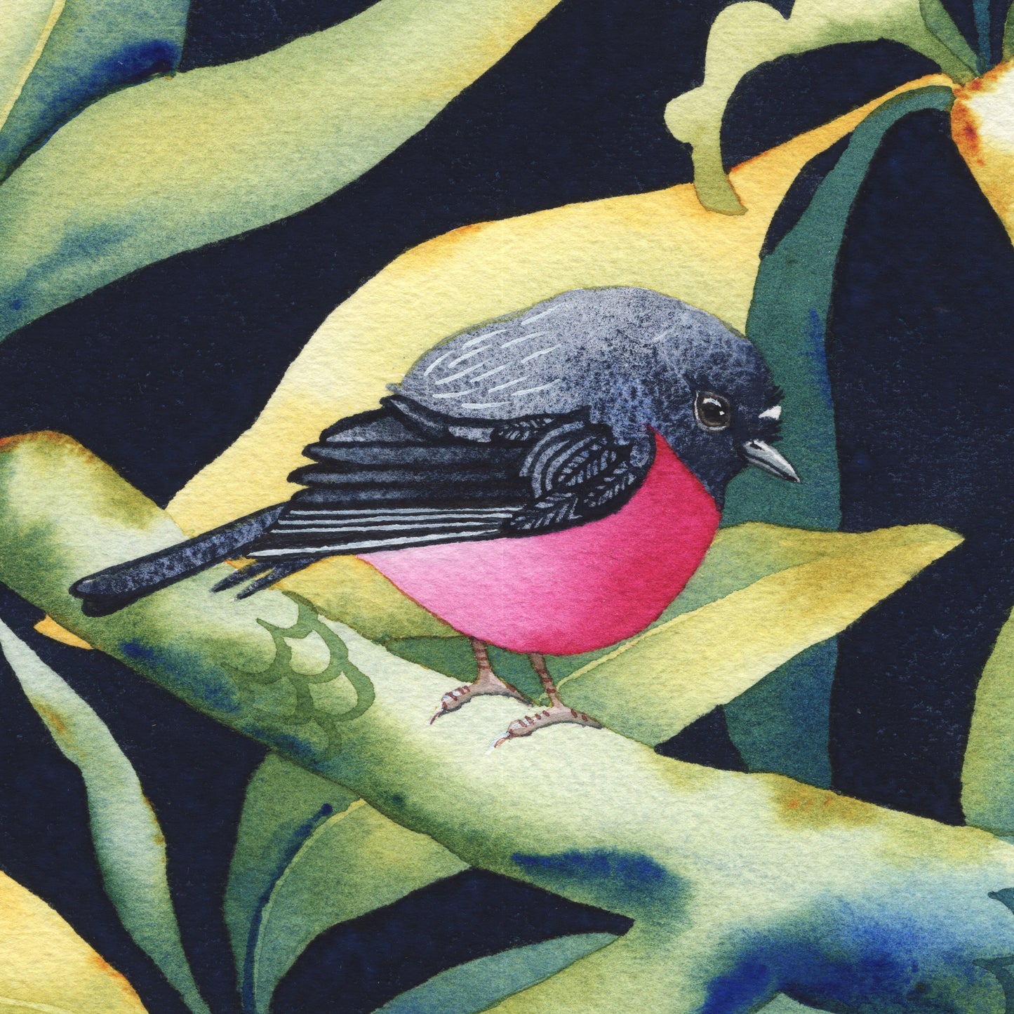 Golden light with Pink Robin, 30x30cm