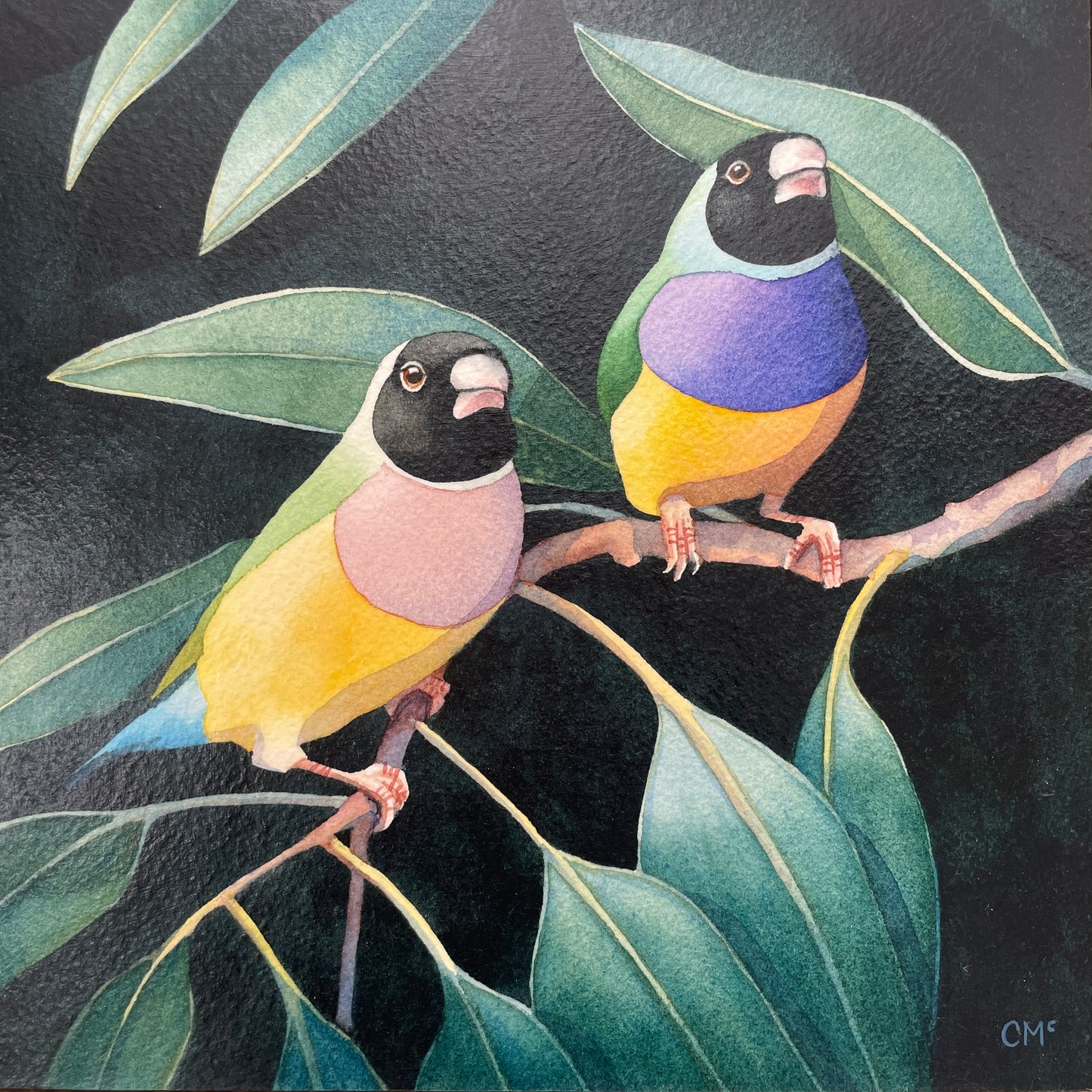 Gouldian Finches #1, 23x23cm, Framed