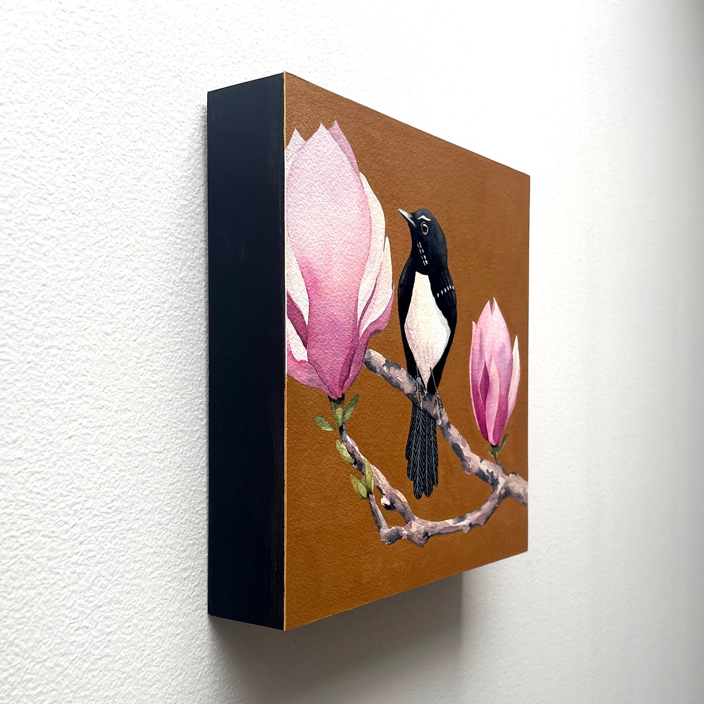 The Willie Wagtail & The Magnolia, 20x20cm