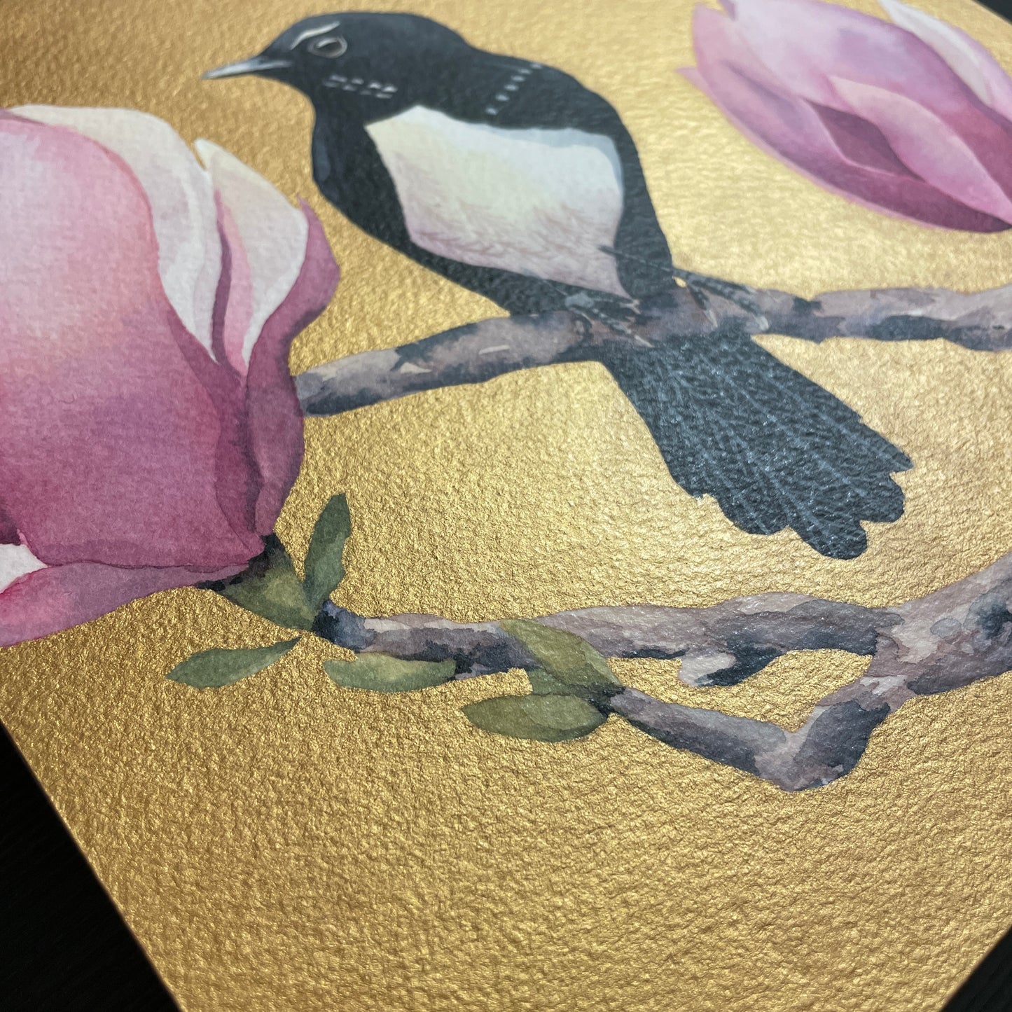 The Willie Wagtail & The Magnolia, 20x20cm