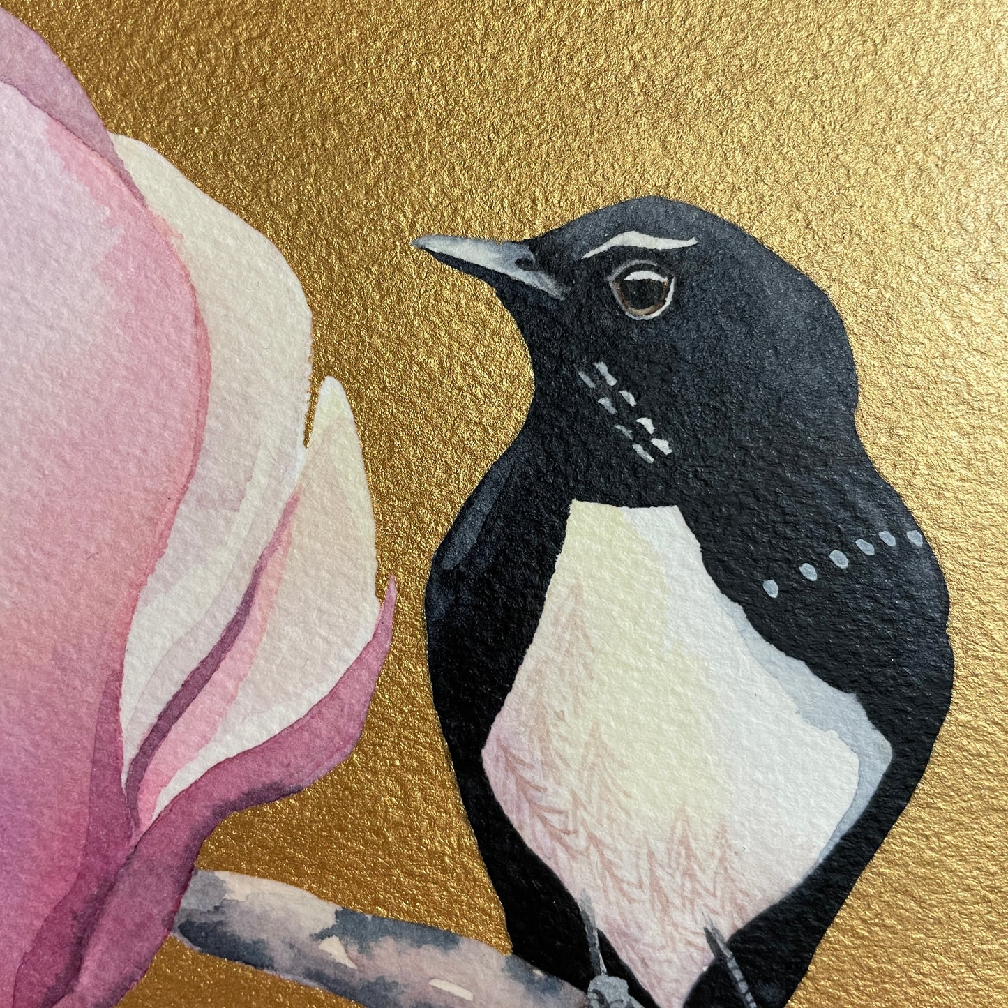 The Willie Wagtail & The Magnolia, 20x20cm