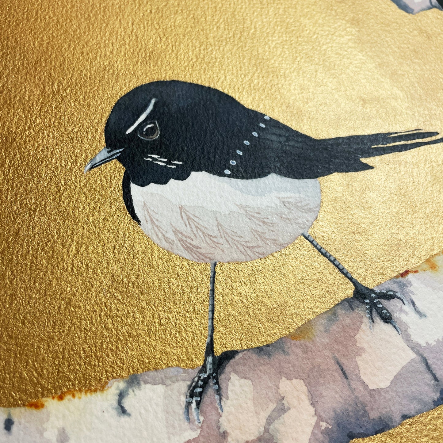 Gold & Bold – The Willie Wagtail, 20x20cm