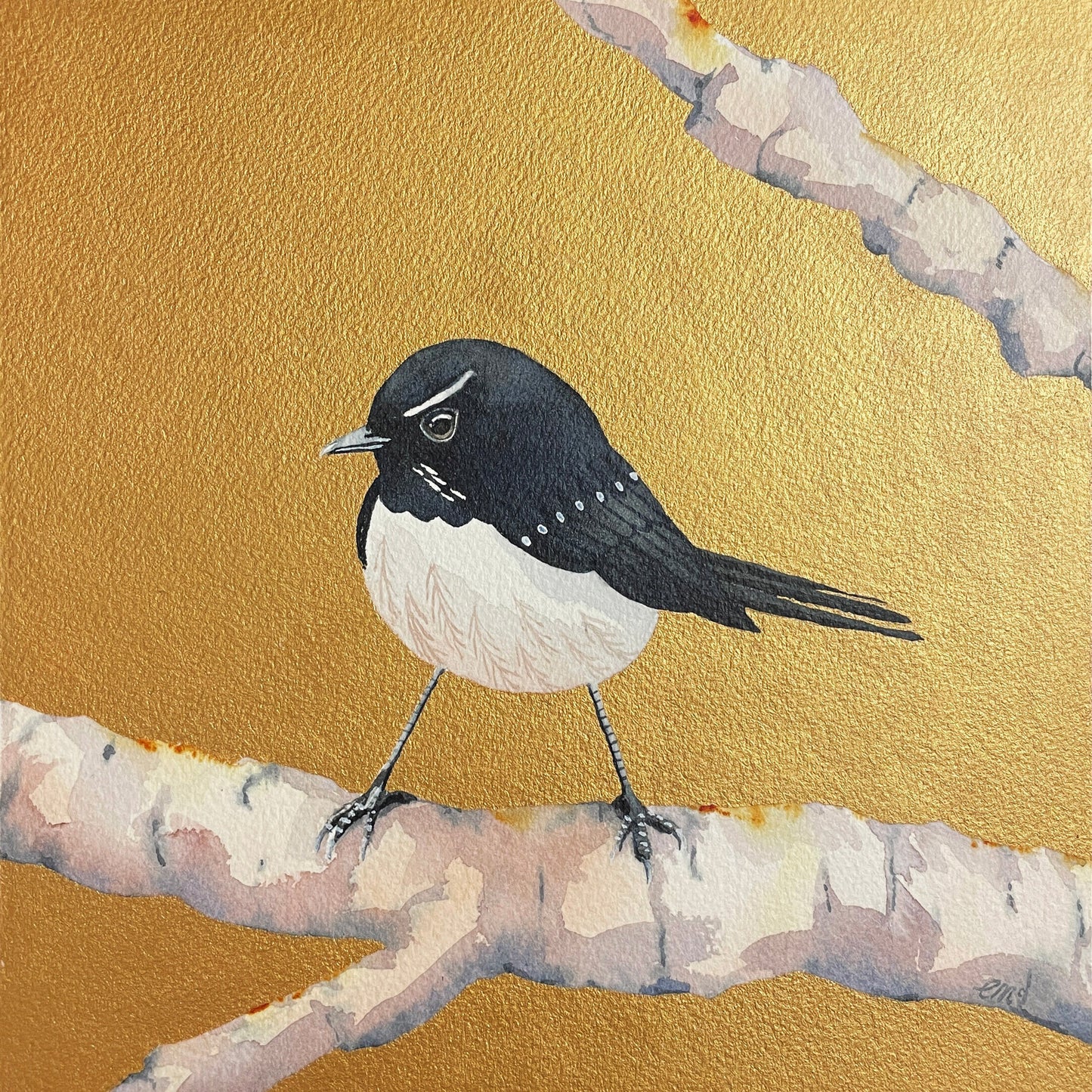 Gold & Bold – The Willie Wagtail, 20x20cm