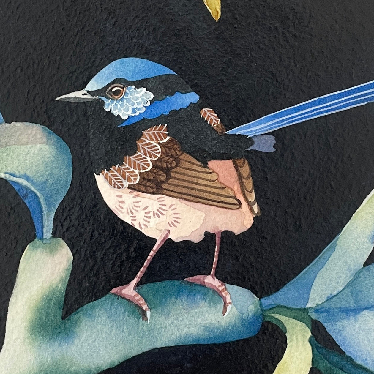 This Superb Fairy No.2, 23x23cm, Framed