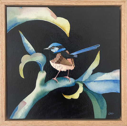 This Superb Fairy No.2, 23x23cm, Framed