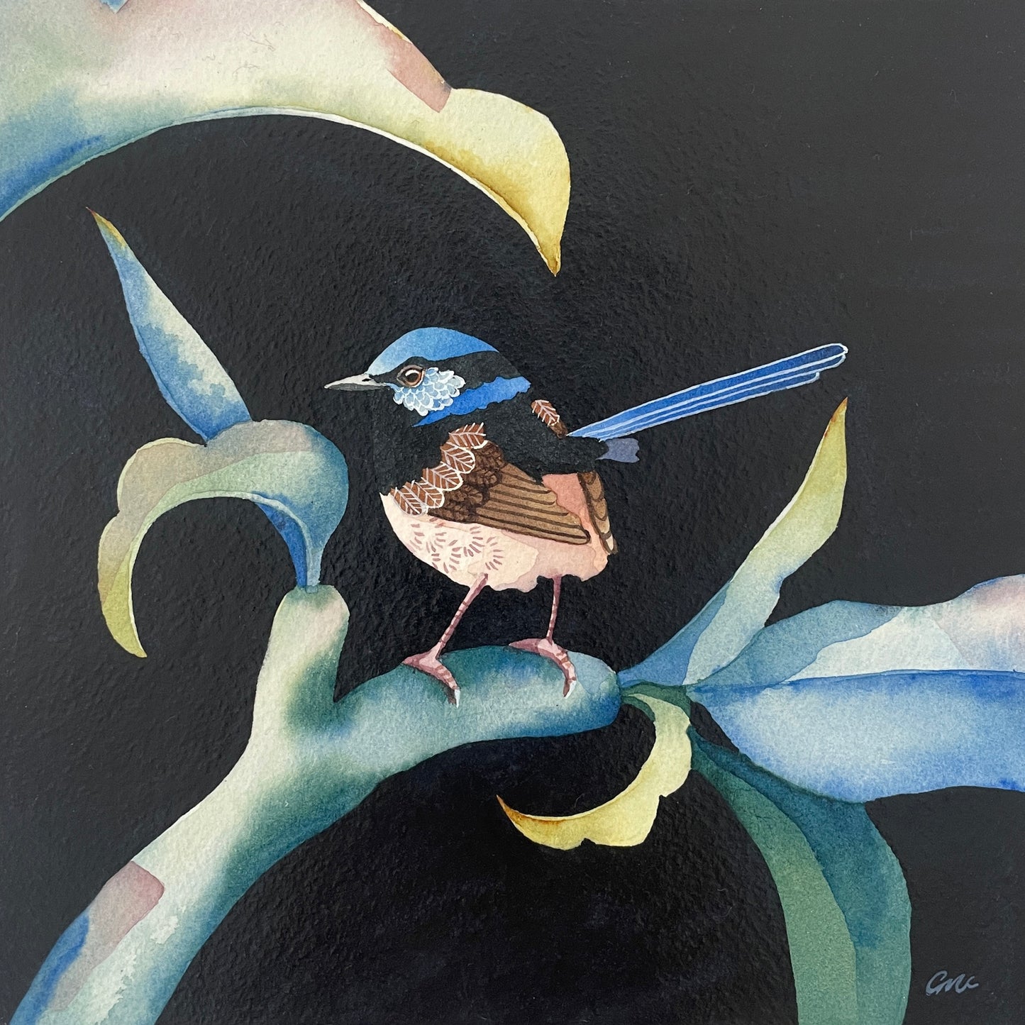 This Superb Fairy No.2, 23x23cm, Framed