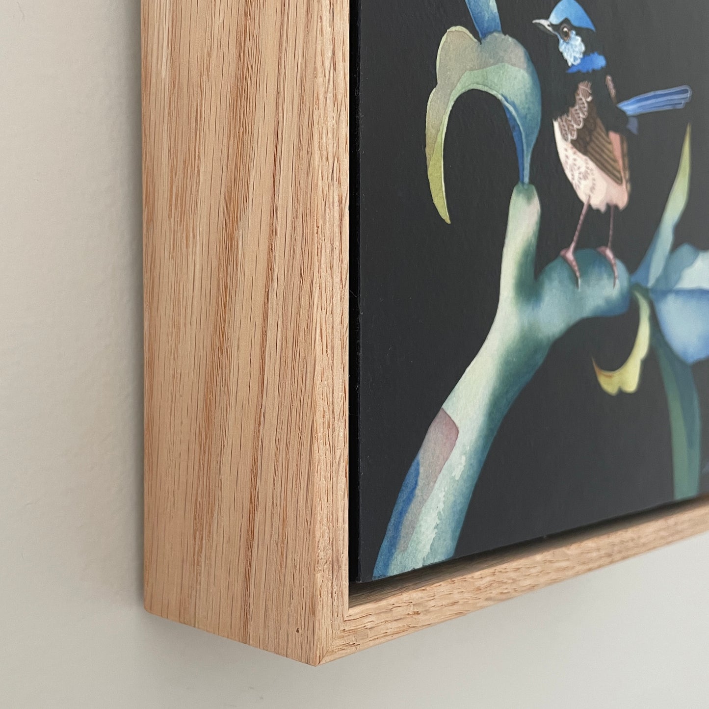 This Superb Fairy No.2, 23x23cm, Framed