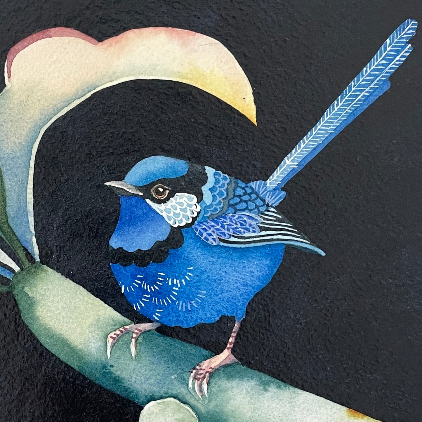 This Splendid Fairy No.3, 23x23cm, Framed