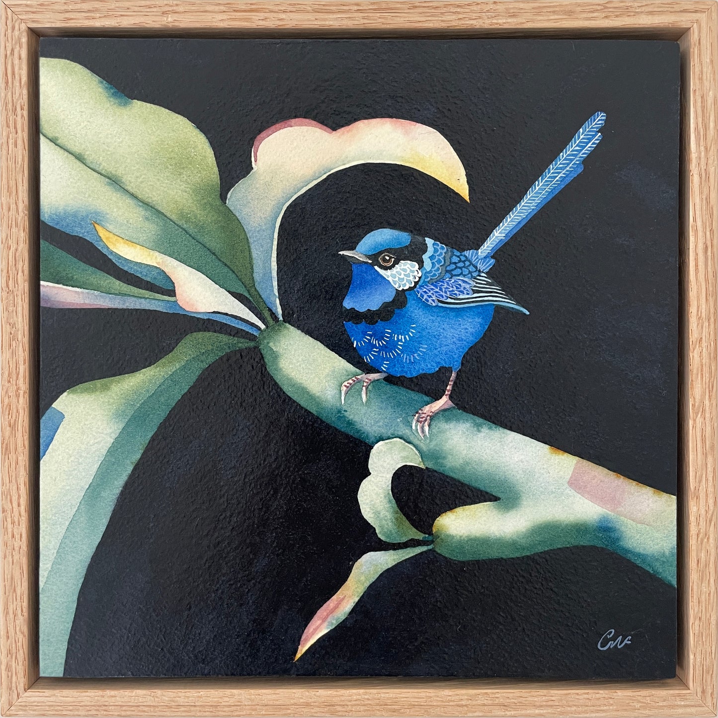 This Splendid Fairy No.3, 23x23cm, Framed