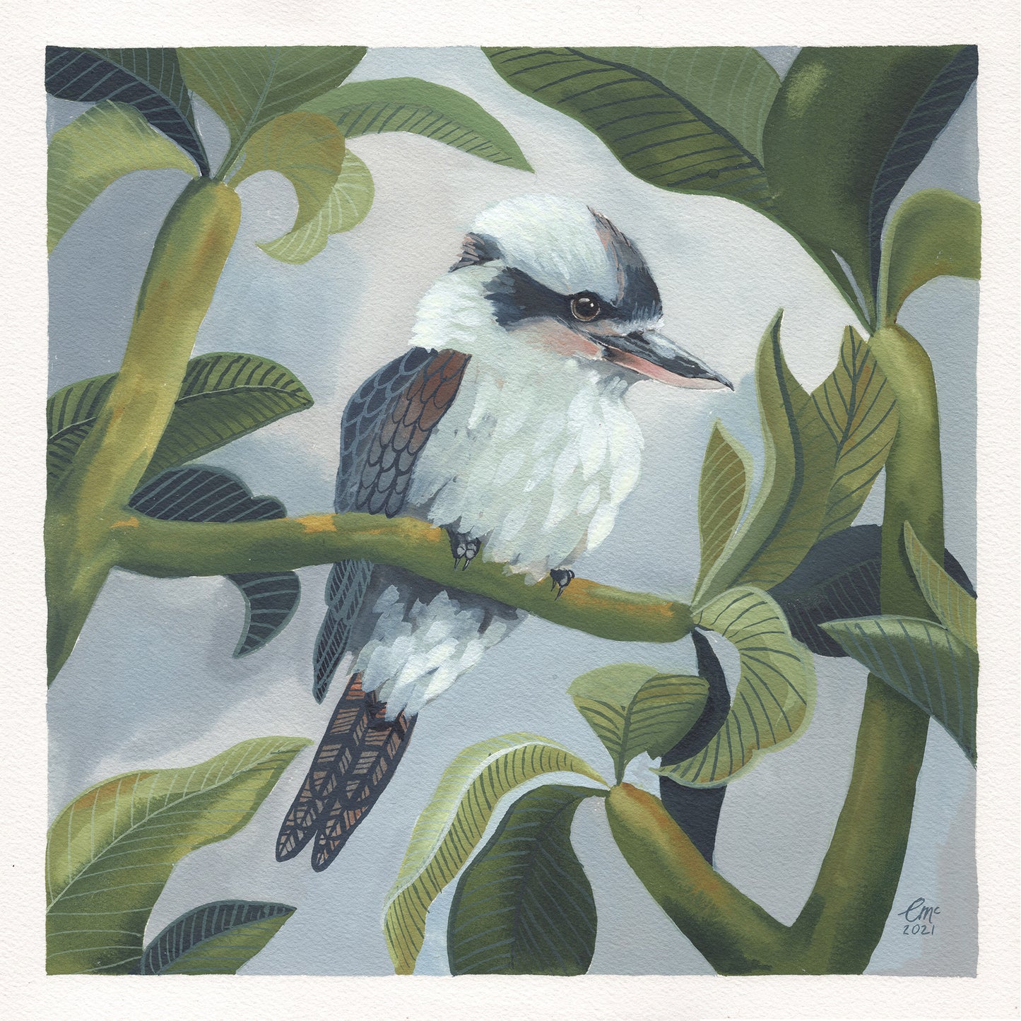 Kookaburra Camo, 29.7x29.7cm