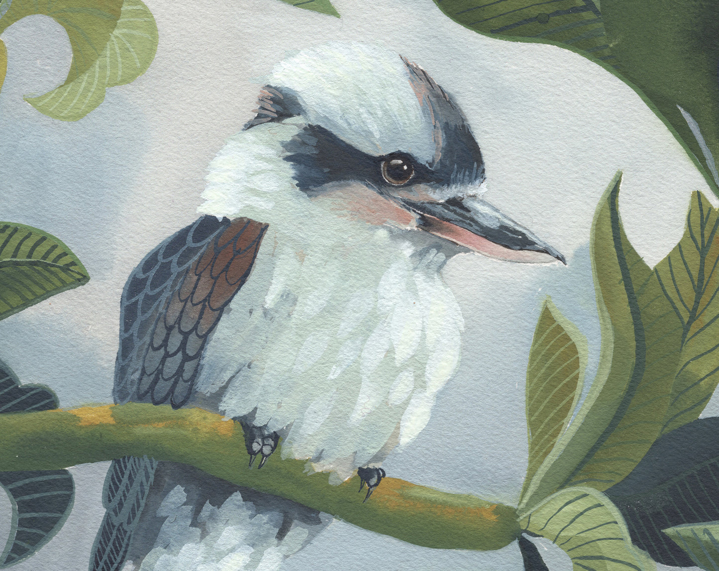 Kookaburra Camo, 29.7x29.7cm