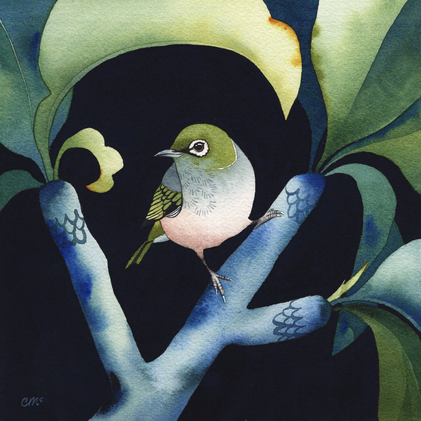 Silvereye in a Blue Tree, 30x30cm