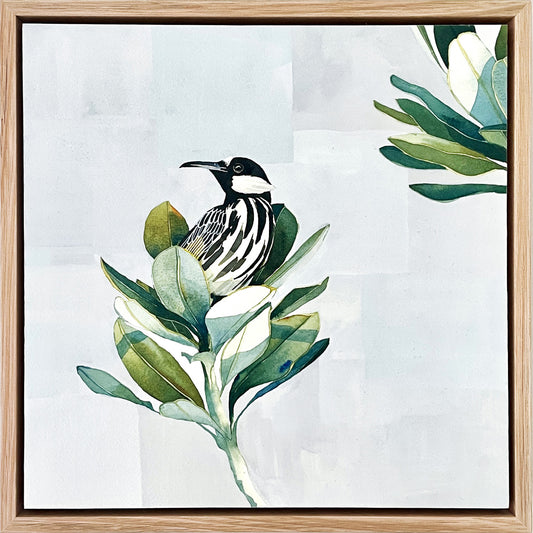 White Cheeks Sunny Time, 33x33cm, Framed