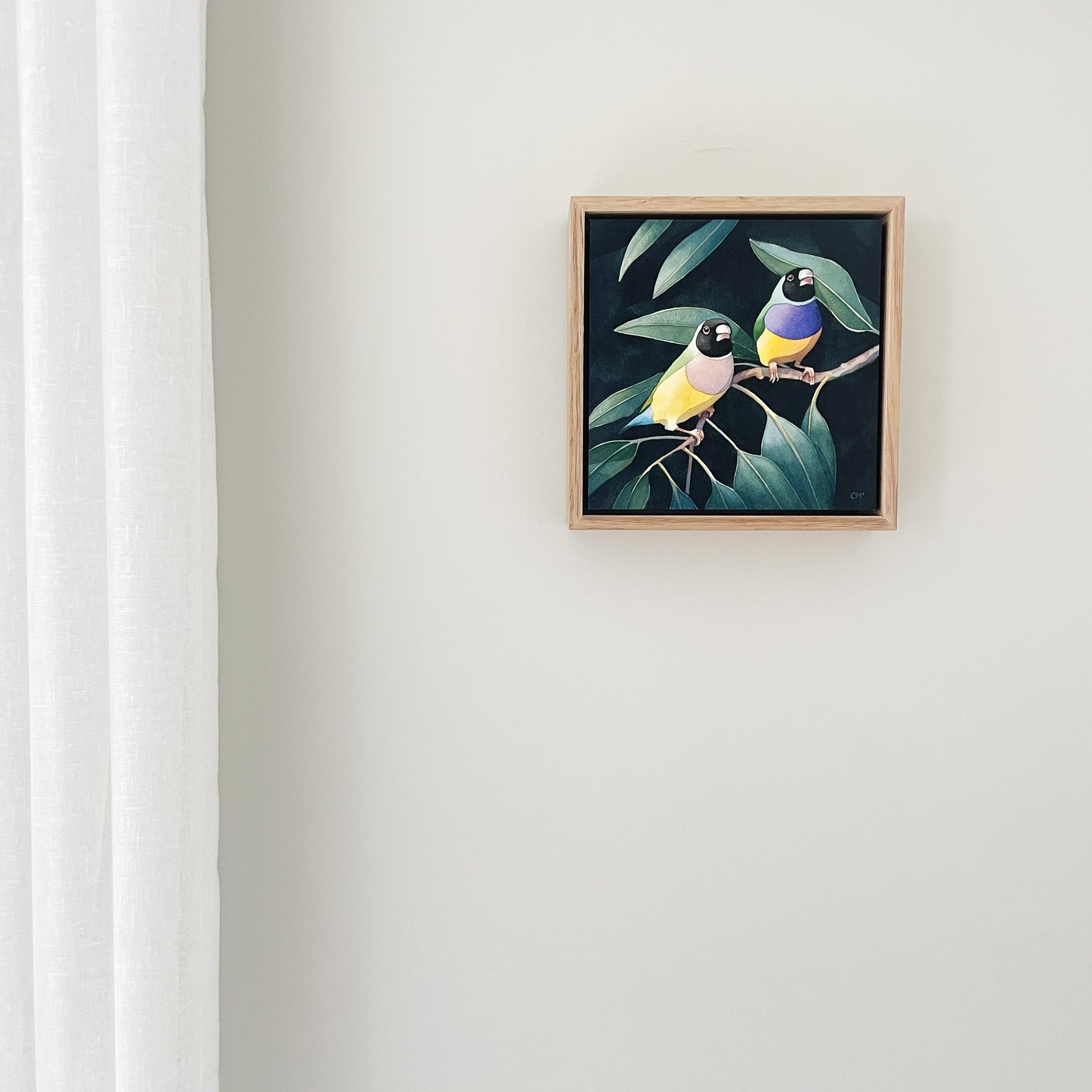 Gouldian Finches #1, 23x23cm, Framed