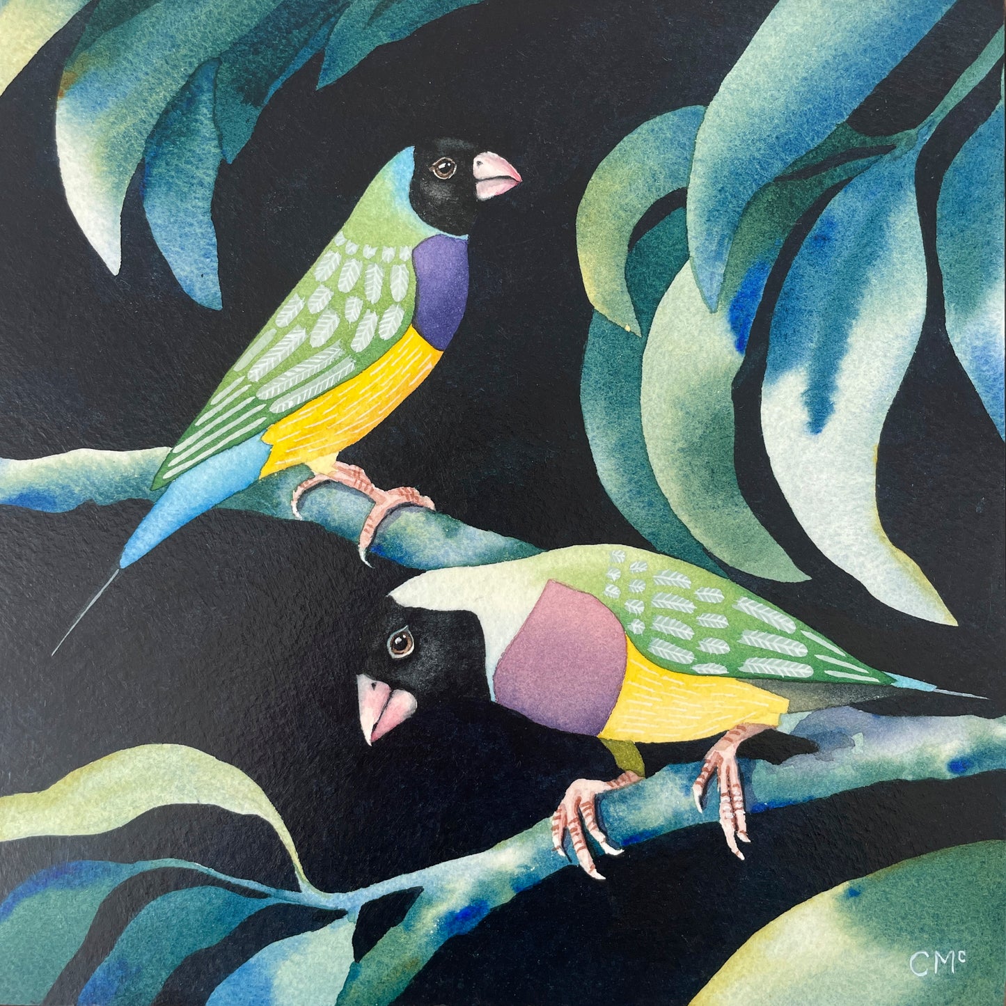 Gouldian Finches #2, 23x23cm, Framed