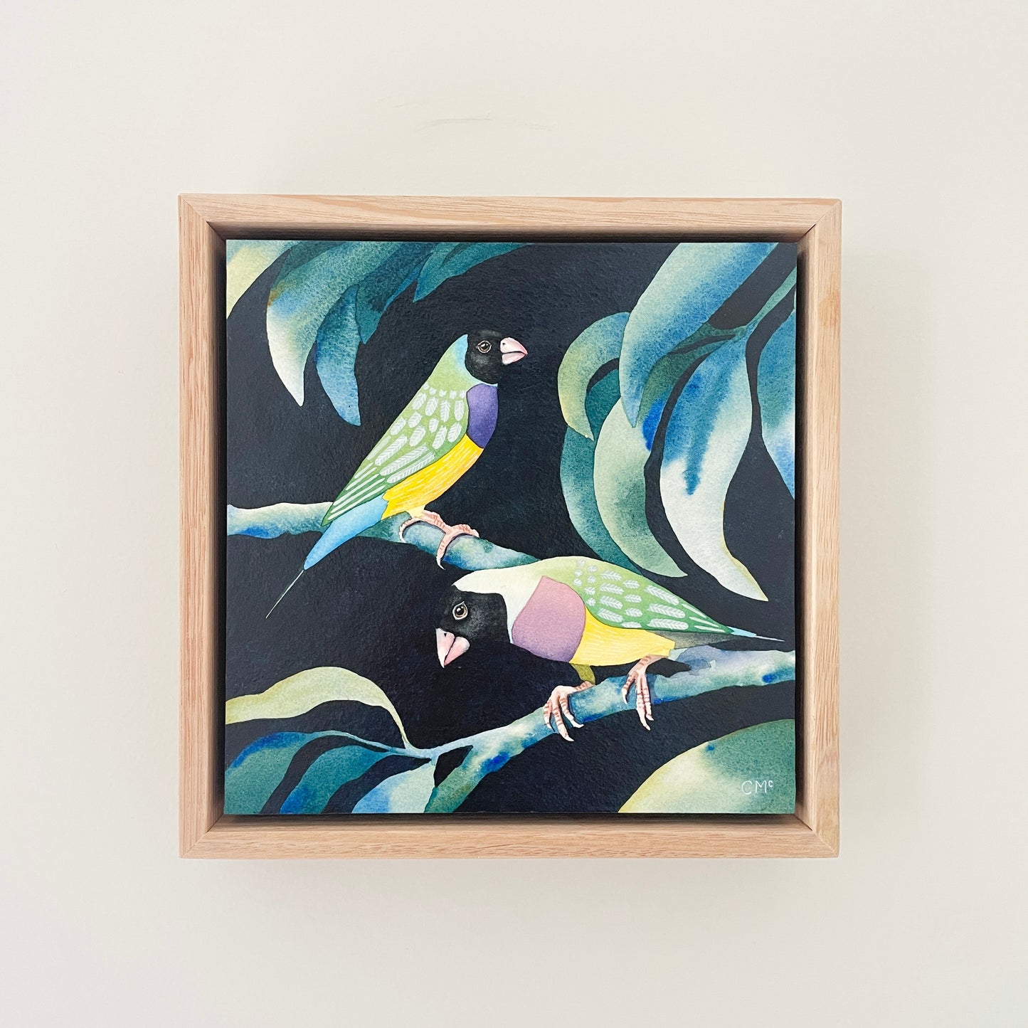 Gouldian Finches #2, 23x23cm, Framed