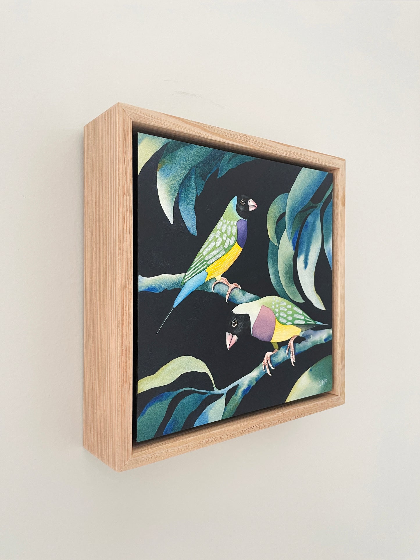 Gouldian Finches #2, 23x23cm, Framed