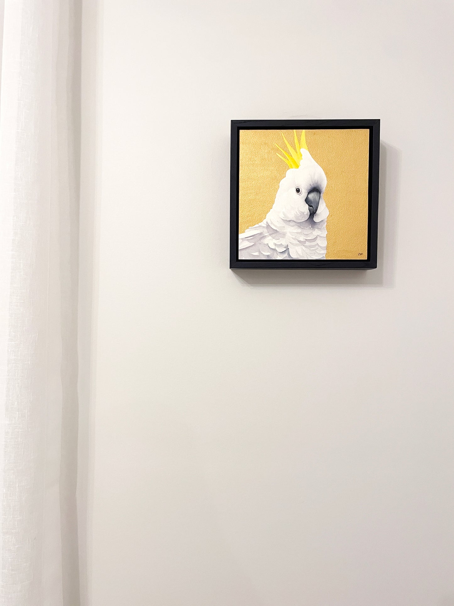 Golden Sulphur Crested Cockatoo, 23x23cm, Framed