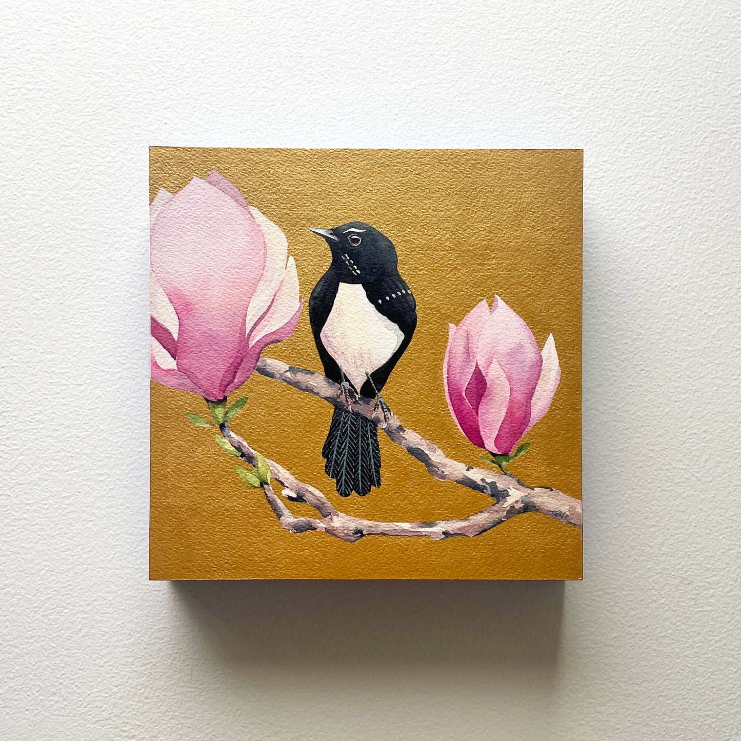 The Willie Wagtail & The Magnolia, 20x20cm