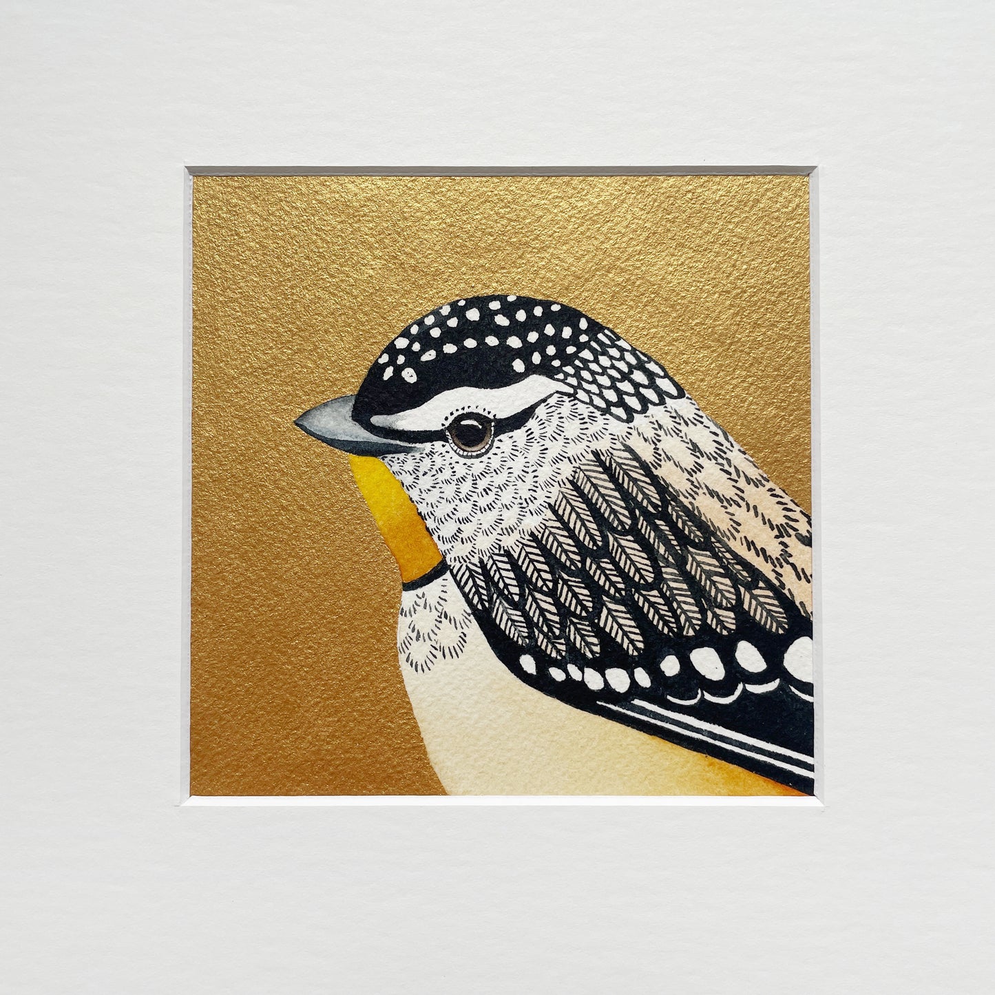 Golden Pardalote, 12x12cm