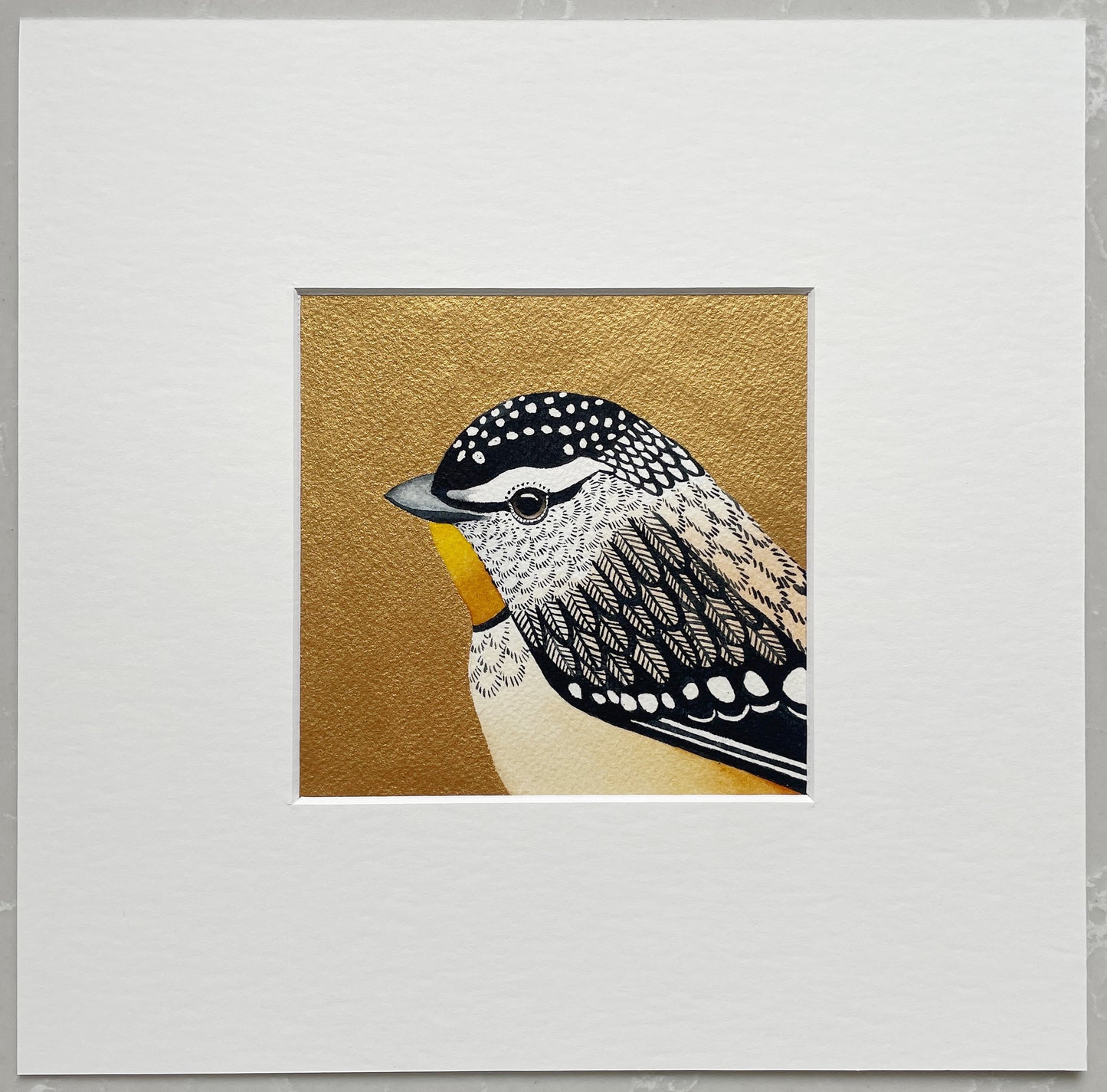 Golden Pardalote, 12x12cm