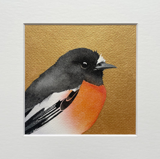 Scarlet Robin in Gold – 12x12cm