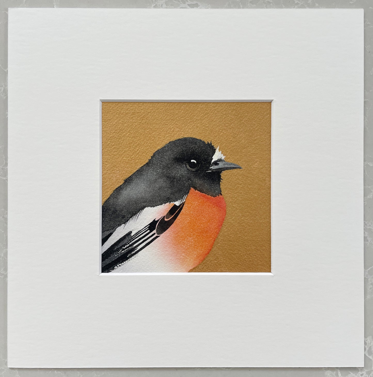 Scarlet Robin in Gold – 12x12cm