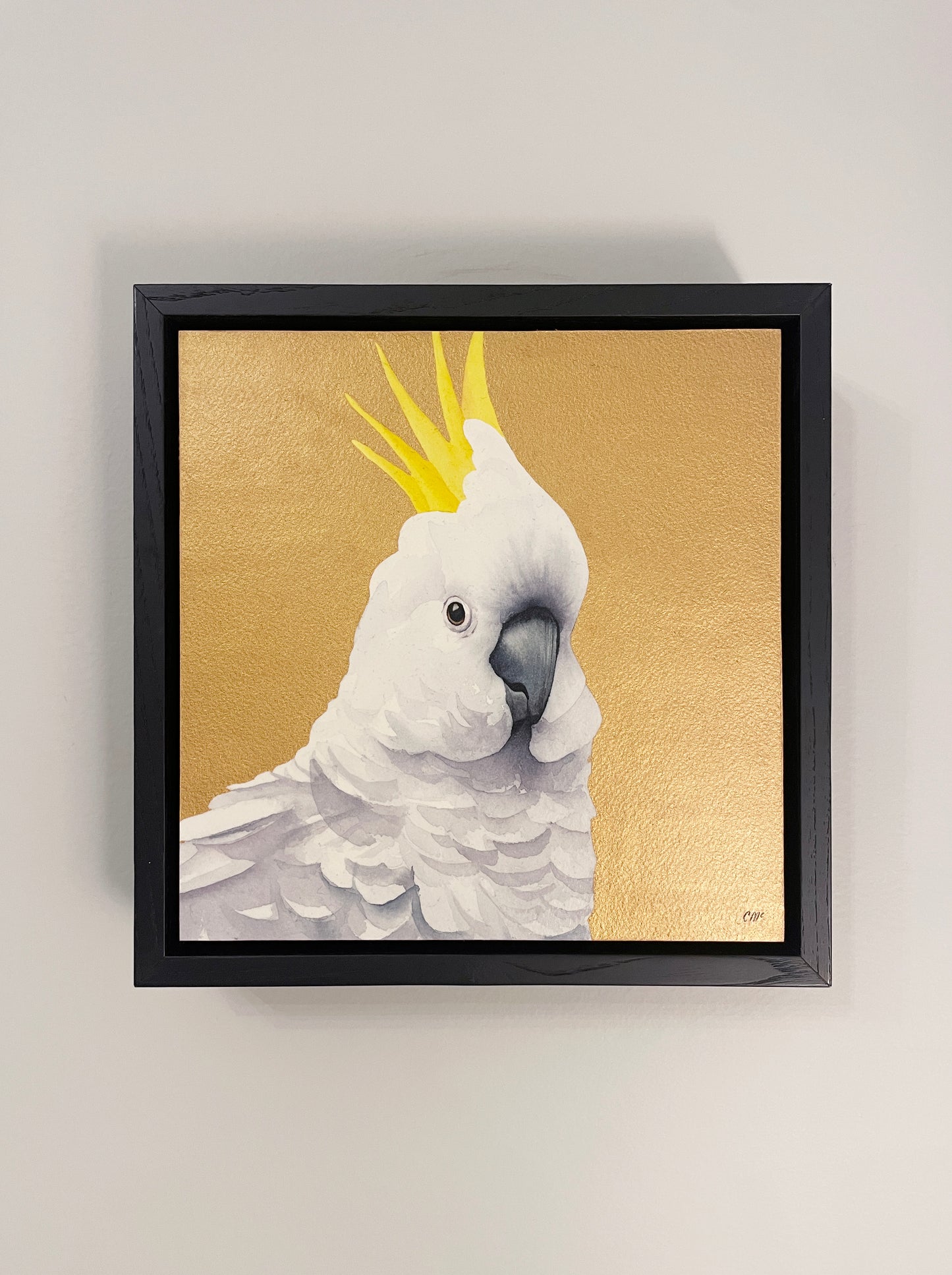 Golden Sulphur Crested Cockatoo, 23x23cm, Framed